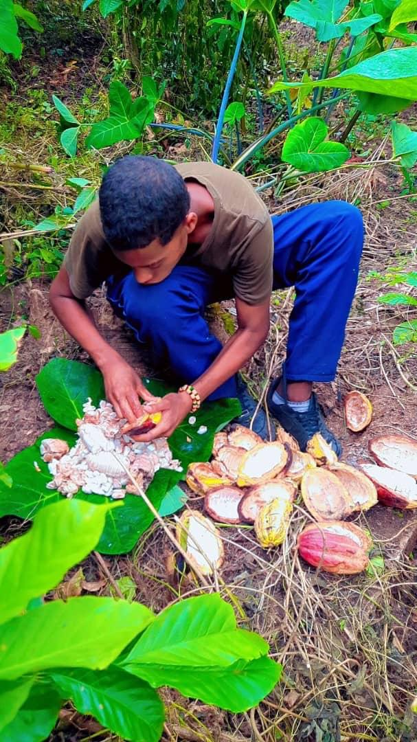 Agriculture & nature — ASC